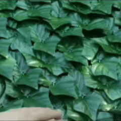 plasa artificiala 1.30x3m+cadou