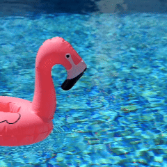 saltea flamingo+cadou