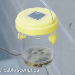 Capcana insecte+ventilator anti-muste