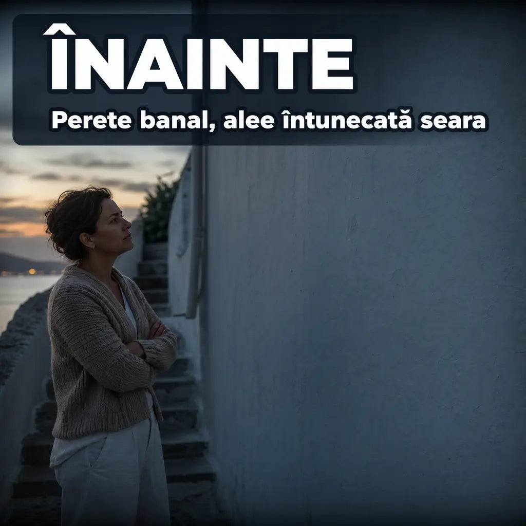 06-inainte-4-4-lampi-solare-scoica.webp