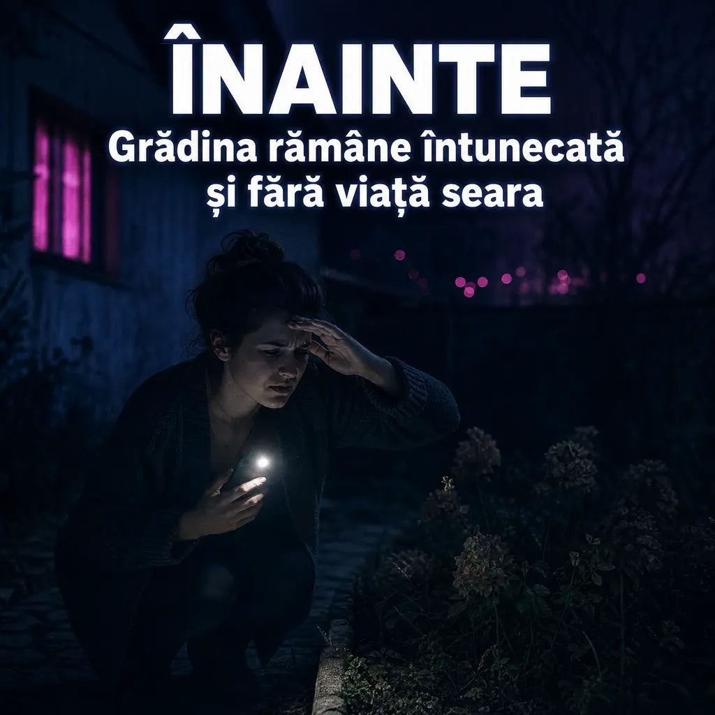 06-inainte-lampi-solare-fluture.webp