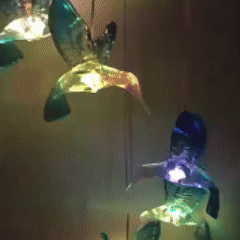 6 leduri solare colibri