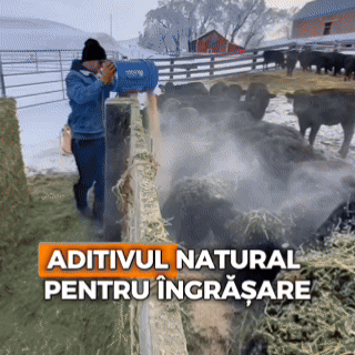 2 aditivi animale