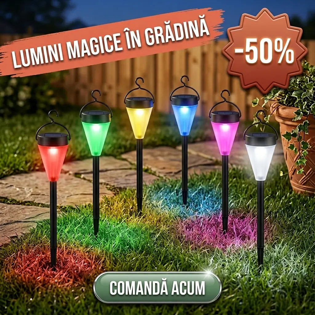 6 lampi solare+cadou