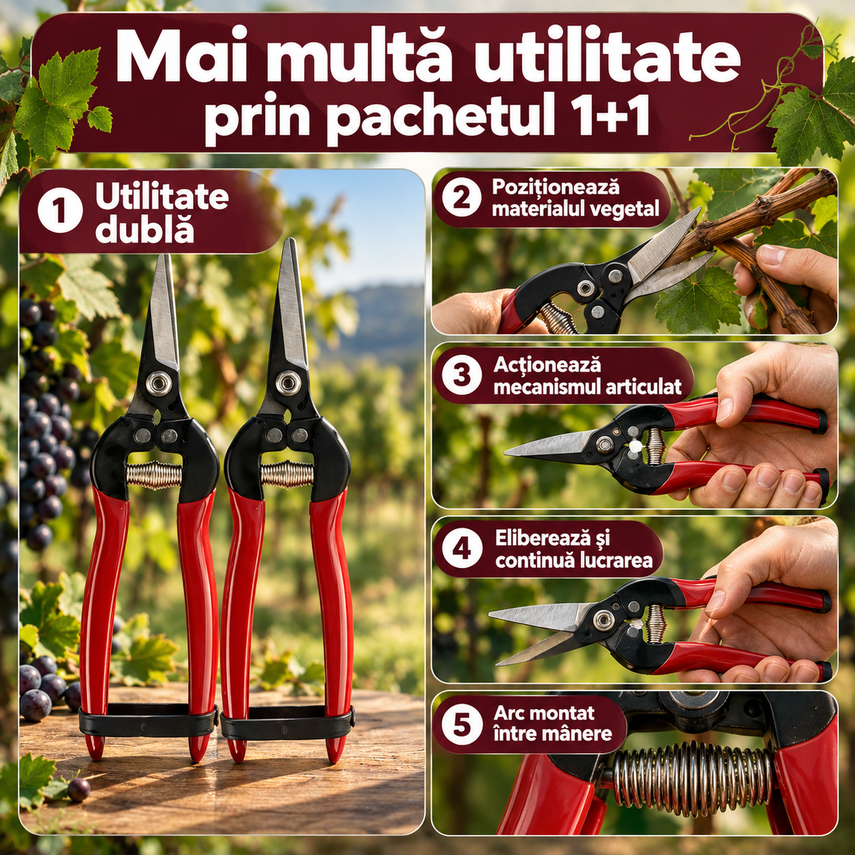 1+1 gratis foarfeca de vie