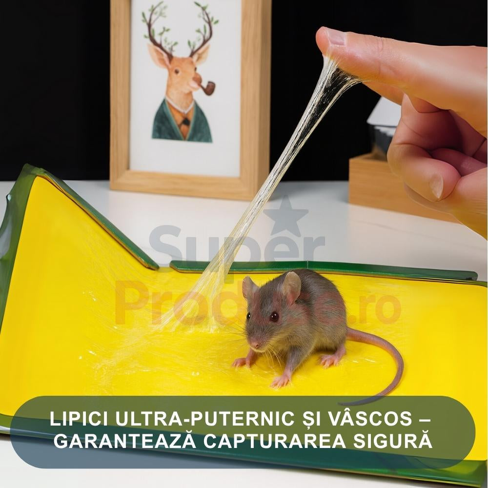 Oferta -50% 30 capcane