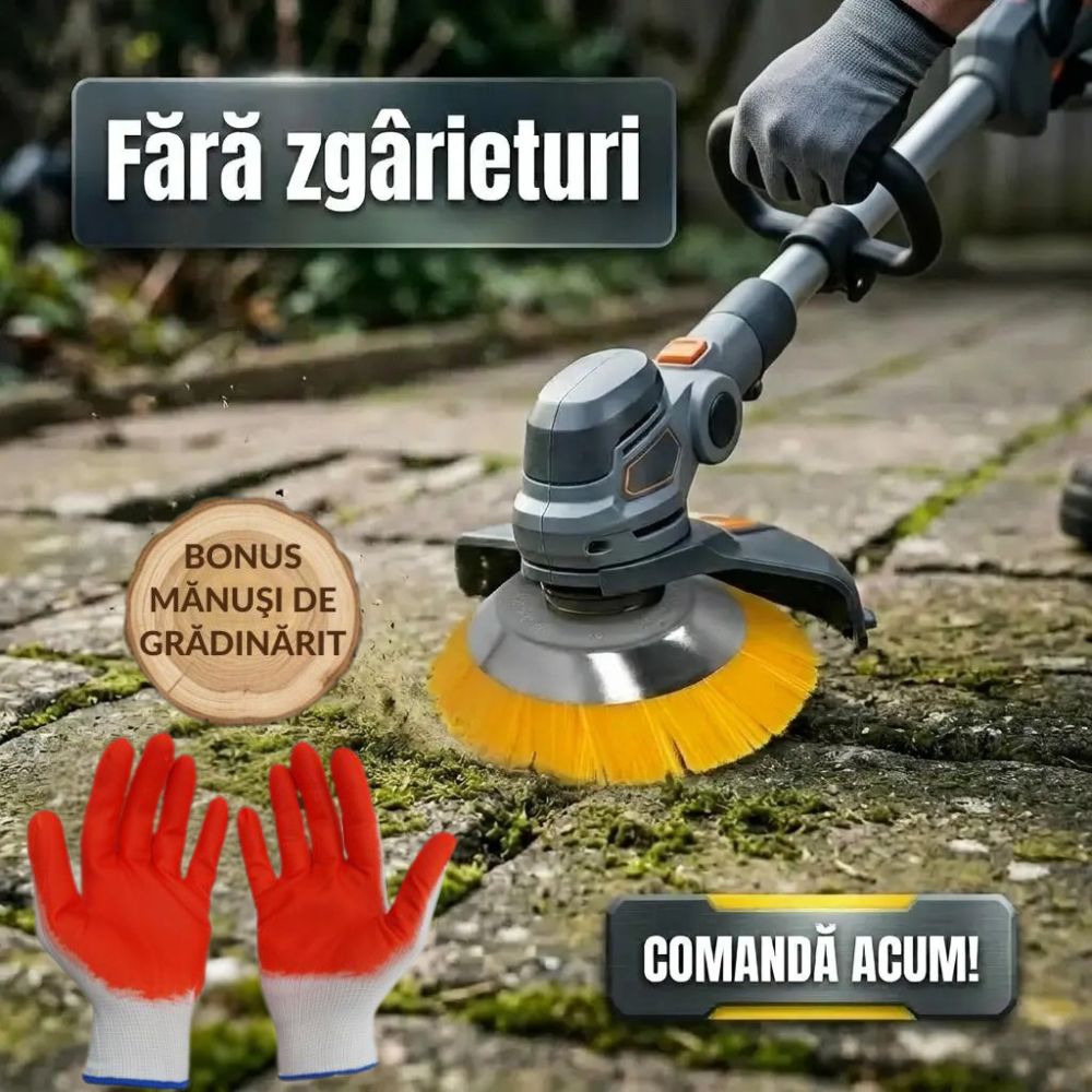 perie curatare suprafete+manusi gradinarit
