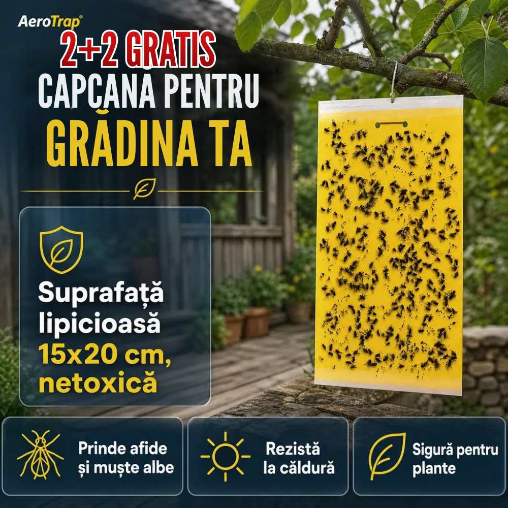 2+2 capcane lipicioase insecte