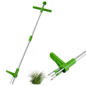 dispozitiv buruieni