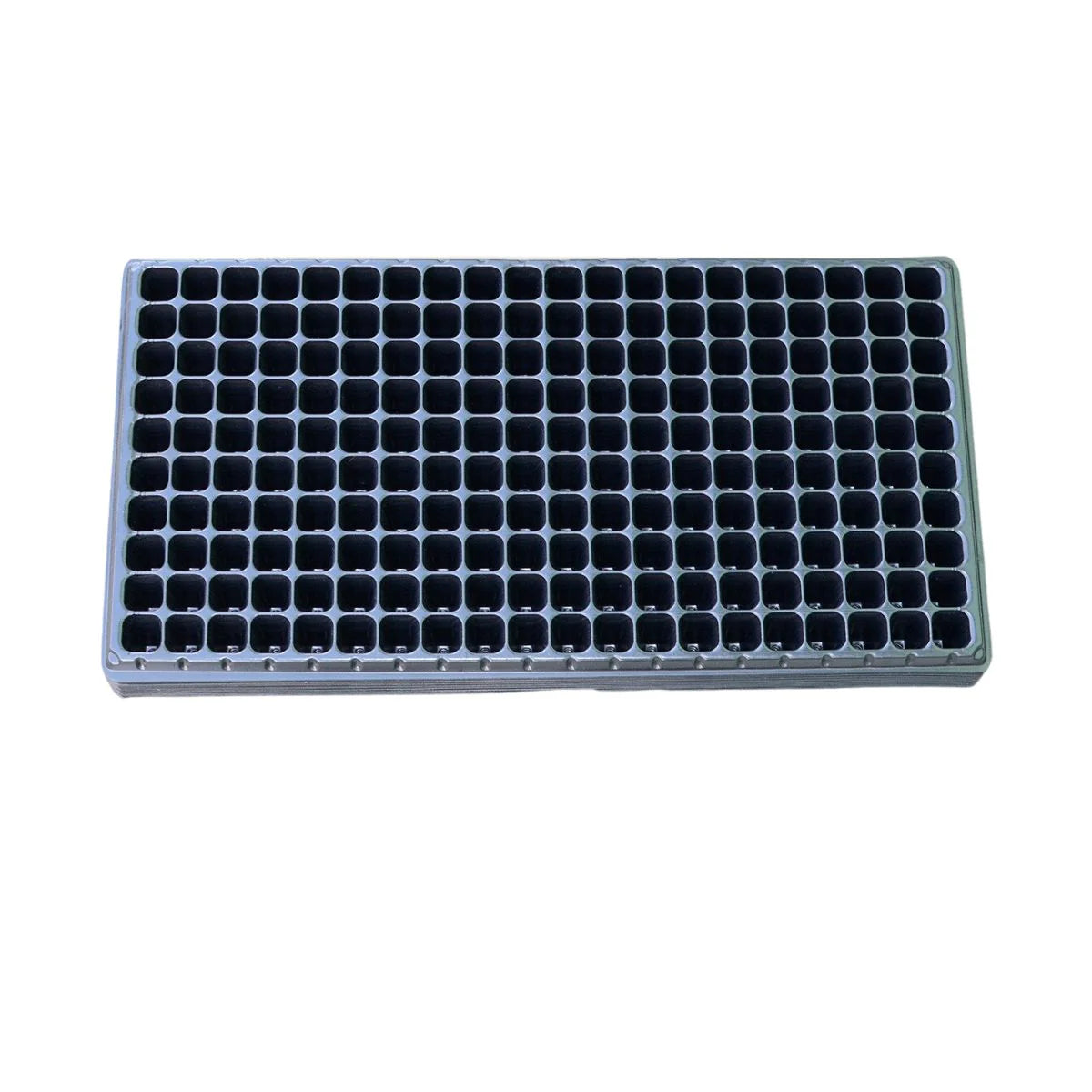 10 alveole- 200 celule