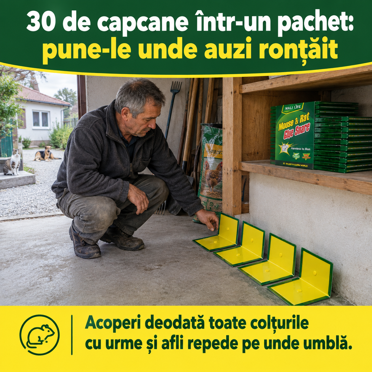 30 capcane soareci