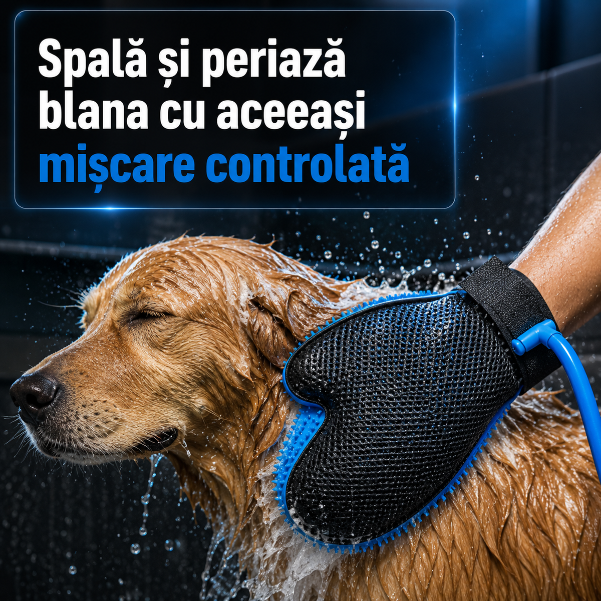 manusa spalat animale