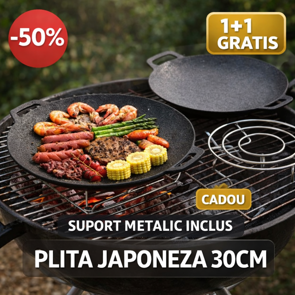 2 plite+suport