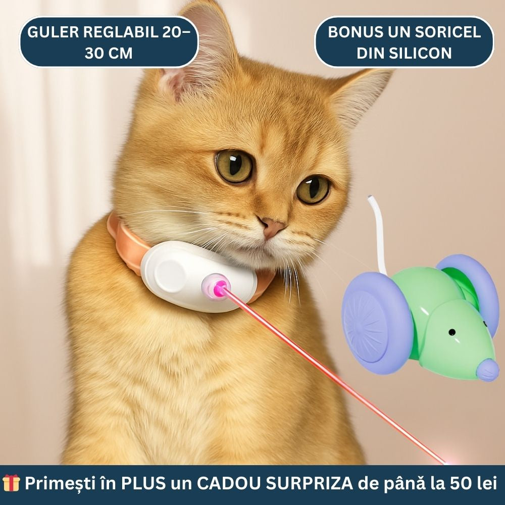Oferta -50% zgarda laser+jucarie smart+cadou